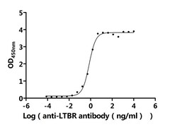 Invitrogen LTBR Recombinant Human Monoclonal Antibody (7G6) 100 &mu;L;