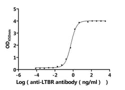 Invitrogen LTBR Recombinant Human Monoclonal Antibody (7G6) 100 &mu;L;