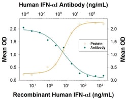 Invitrogen IFNA17 Monoclonal Antibody (995826) 100 &mu;g; Unconjugated:Antibodies,
