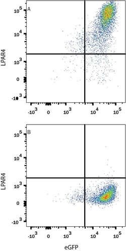 Invitrogen LPAR4 Monoclonal Antibody (561203) 100 &mu;g; Unconjugated:Antibodies,