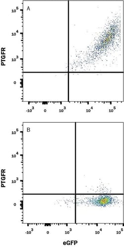 Invitrogen PTGFR Monoclonal Antibody (1014602) 100 &mu;g; Unconjugated:Antibodies,
