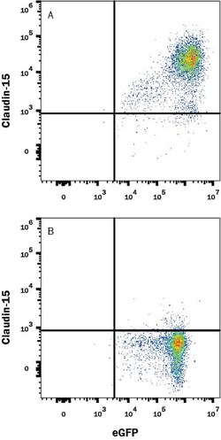 Invitrogen Claudin 15 Monoclonal Antibody (540315) 100 &mu;g; Unconjugated:Antikörper