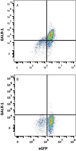 Invitrogen GALR1 Monoclonal Antibody (613207) 100 &mu;g; Unconjugated:Antibodies,