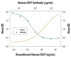 Invitrogen CD97 Monoclonal Antibody (380905) 500 &mu;g; Unconjugated:Antikörper
