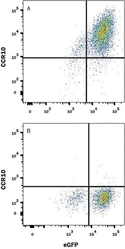 Invitrogen CCR10 Monoclonal Antibody (248918) 100 &mu;g; Unconjugated:Antibodies,