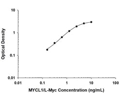 Invitrogen L-Myc Monoclonal Antibody (803017) 100 &mu;g; Unconjugated:Antibodies,
