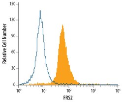 Invitrogen FRS2 Monoclonal Antibody (462902) 100 &mu;g; Unconjugated:Antibodies,