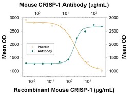 Invitrogen CRISP1 Monoclonal Antibody (840017) 100 &mu;g; Unconjugated:Antibodies,