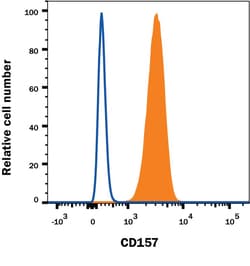 Invitrogen BST-1 Monoclonal Antibody (534509) 100 &mu;g | Buy Online | Invitrogen&trade; | Fisher Scientific