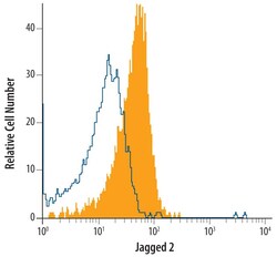 Invitrogen Jagged 2 Monoclonal Antibody (746513) 100 &mu;g; Unconjugated:Antibodies,