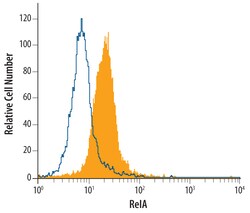 Invitrogen NFkB p65 Monoclonal Antibody (465003) 100 &mu;g; Unconjugated:Antibodies,