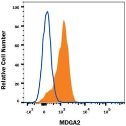 Invitrogen MDGA2 Monoclonal Antibody (803732) 100 &mu;g; Unconjugated:Antikörper