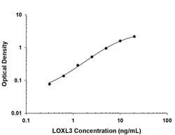 Invitrogen LOXL3 Monoclonal Antibody (1013328) 100 &mu;g; Unconjugated:Antibodies,