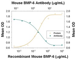 Invitrogen BMP-6 Monoclonal Antibody (719040) 100 &mu;g; Unconjugated:Antibodies,