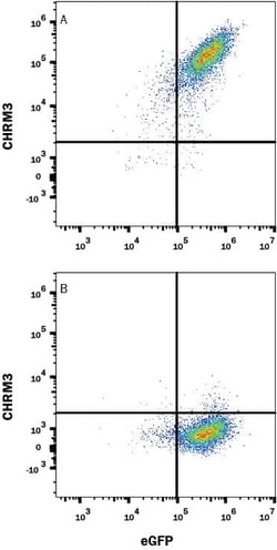 Invitrogen CHRM3 Monoclonal Antibody (580011) 100 &mu;g; Unconjugated:Antibodies,
