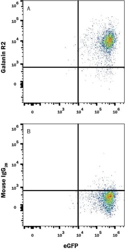 Invitrogen GALR2 Monoclonal Antibody (616520) 100 &mu;g; Unconjugated:Antibodies,