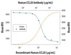 Invitrogen CCL28 Monoclonal Antibody (62705) 500 &mu;g; Unconjugated:Antibodies,