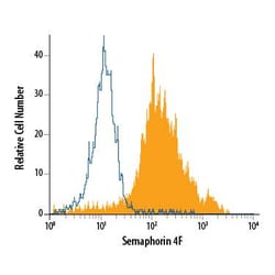 Invitrogen SEMA4F Monoclonal Antibody (780225) 100 &mu;g; Unconjugated:Antibodies,
