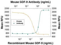 Invitrogen GDF9 Monoclonal Antibody (785123) 100 &mu;g; Unconjugated:Antibodies,