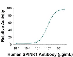 Invitrogen SPINK1 Monoclonal Antibody (839304) 100 &mu;g; Unconjugated:Antibodies,