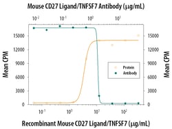 Invitrogen CD70 Monoclonal Antibody (118510) 500 &mu;g; Unconjugated:Antibodies,