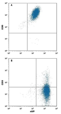 Invitrogen CCR9 Monoclonal Antibody (882416) 100 &mu;g; Unconjugated:Antibodies,