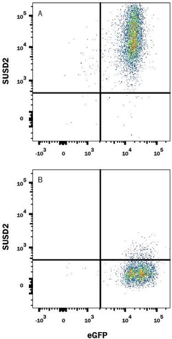 Invitrogen SUSD2 Monoclonal Antibody (944827) 100 &mu;g; Unconjugated:Antibodies,