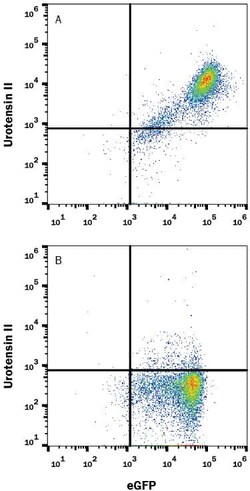 Invitrogen Urotensin II Receptor Monoclonal Antibody (443707) 100 &mu;g;