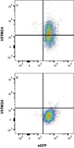 Invitrogen VSTM2A Monoclonal Antibody (1024735) 100 &mu;g; Unconjugated:Antibodies,
