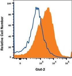 Invitrogen GLUT2 Monoclonal Antibody (205115) 200 &mu;g; Unconjugated:Antibodies,