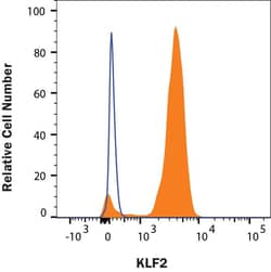 Invitrogen KLF2 Monoclonal Antibody (665333) 100 &mu;g | Buy Online | Invitrogen&trade; | Fisher Scientific