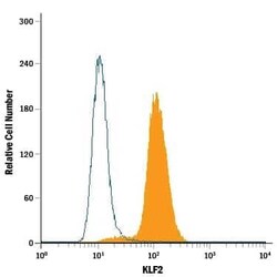 Invitrogen KLF2 Monoclonal Antibody (665333) 100 &mu;g | Buy Online | Invitrogen&trade; | Fisher Scientific