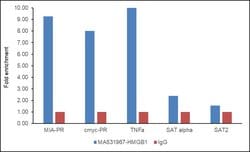 Invitrogen HMGB1 Recombinant Rabbit Monoclonal Antibody (SA39-03) 100 &mu;L;
