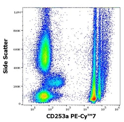 Invitrogen CD235a Monoclonal Antibody (JC159), PE-Cyanine7 100 Tests | Buy Online | Invitrogen&trade; | Fisher Scientific