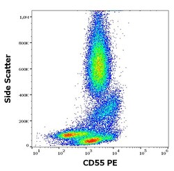 Invitrogen CD55 Monoclonal Antibody (MEM-118), PE 100 Tests; PE:Antibodies,