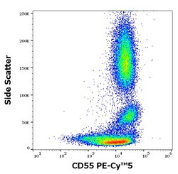 Invitrogen CD55 Monoclonal Antibody (MEM-118), PE-Cyanine5 100 Tests; PE-Cyanine5:Antibodies,
