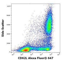 Invitrogen CD62L Monoclonal Antibody (DREG56), Alexa Fluor 647 100 Tests | Buy Online | Invitrogen&trade; | Fisher Scientific