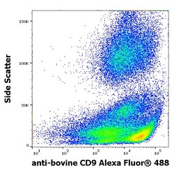 Invitrogen CD9 Monoclonal Antibody (IVA50), Alexa Fluor 488 100 &mu;g | Buy Online | Invitrogen&trade; | Fisher Scientific