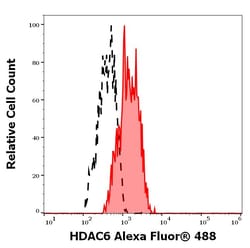 Invitrogen&trade;&nbsp;HDAC6 Monoclonal Antibody (236), Alexa Fluor&trade; 488