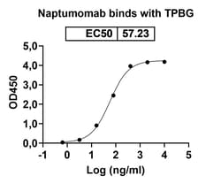 Invitrogen&trade;&nbsp;Naptumomab Recombinant Mouse Monoclonal Antibody