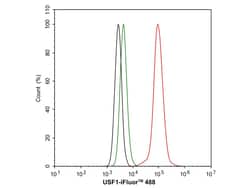 Invitrogen&trade;&nbsp;USF1 Recombinant Rabbit Monoclonal Antibody (JE63-68)