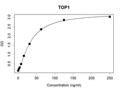 Invitrogen TOP1 Recombinant Human Monoclonal Antibody (K94015_11B11) 50 &mu;L | Buy Online | Invitrogen&trade; | Fisher Scientific