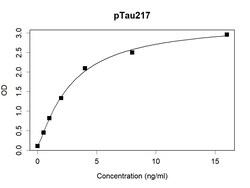 Invitrogen Phospho-Tau (Thr217) Recombinant Human Monoclonal Antibody (K16227_1C11), HRP 50 &mu;L | Buy Online | Invitrogen&trade; | Fisher Scientific