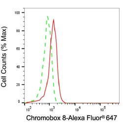 Invitrogen&trade;&nbsp;CBX8 Monoclonal Antibody (24GB7980)