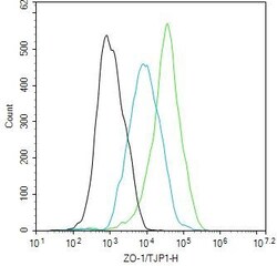 Invitrogen ZO-1 Recombinant Rabbit Monoclonal Antibody (9E12) 100 &mu;L | Buy Online | Invitrogen&trade; | Fisher Scientific
