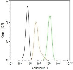 Invitrogen Calreticulin Recombinant Rabbit Monoclonal Antibody (3D1) 100 &mu;L | Buy Online | Invitrogen&trade; | Fisher Scientific
