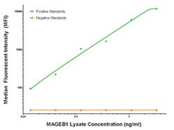 MAGEB1 Mouse anti-Human, Clone: OTI4E12, liquid, TrueMAB 100 &mu;g; Unconjugated:Antibodies,
