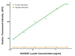 MAGEB1 Mouse anti-Human, Clone: OTI7D9, liquid, TrueMAB 100 &mu;g; Unconjugated:Antibodies,