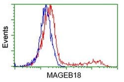 MAGEB18 Monoclonal Antibody (OTI1F5), TrueMAB , OriGene 100 &mu;L; Unconjugated:Antibodies,