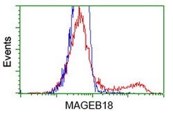 MAGEB18 Mouse anti-Human, Clone: OTI6A5, lyophilized, TrueMAB 100 &mu;g;